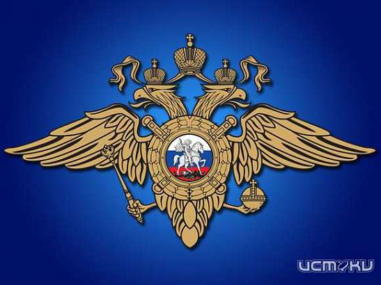 В Покровском обокрали магазин