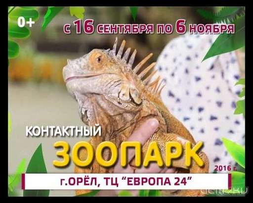 Выставка экзотических животных в ТЦ «Европа»