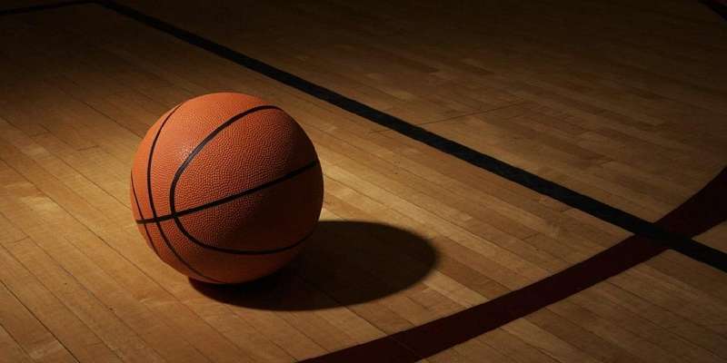 Не только лыжи, но и баскетбол: возле Медведевского леса в Орле появится ФОК