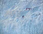 В музее изобразительных искусств открылась выставк