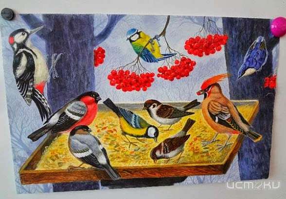 В Орле откроется выставка "Природа и Мы"