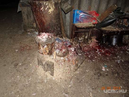 В Ливенском районе на 90 суток закрыли нелегальную убойную площадку 