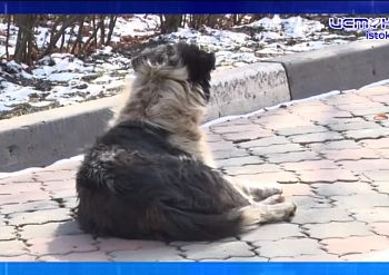 В эту пятницу Орел ждет большое событие-премьера фильма "Гостишка"