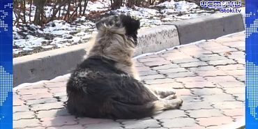 В эту пятницу Орел ждет большое событие-премьера фильма "Гостишка"