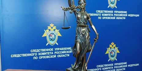 В Орловской области вынесен приговор в отношении местного жителя по уголовному делу о хулиганстве