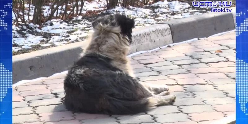 В эту пятницу Орел ждет большое событие-премьера фильма "Гостишка"