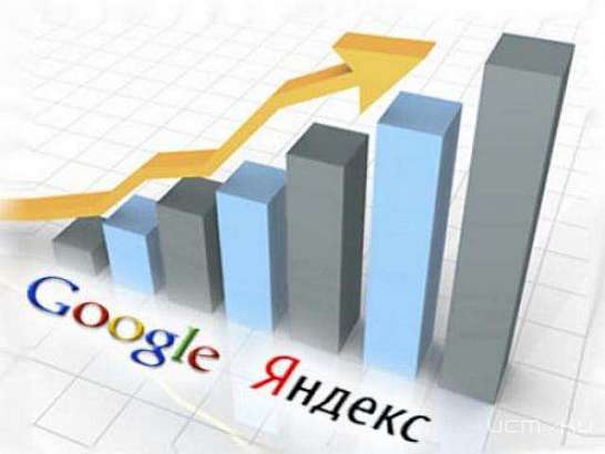 Профессиональная раскрутка и оптимизация сайта