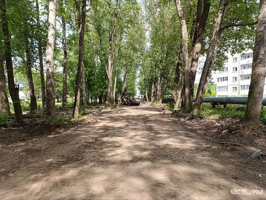 В «Спецавтобазе» объяснили снос деревьев в Северном районе Орла