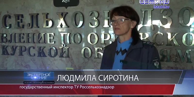Экспертное мнение 22.08.2024