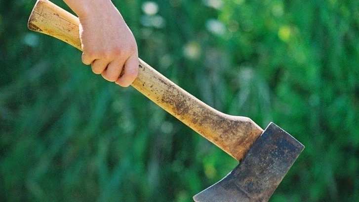 Мужчина похитил документы орловчанки и небольшую сумму денег, избив ее топором