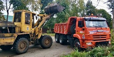 Ураганный ветер повалил деревья на семи улицах Орла — "Спецавтобаза" устраняет последствия