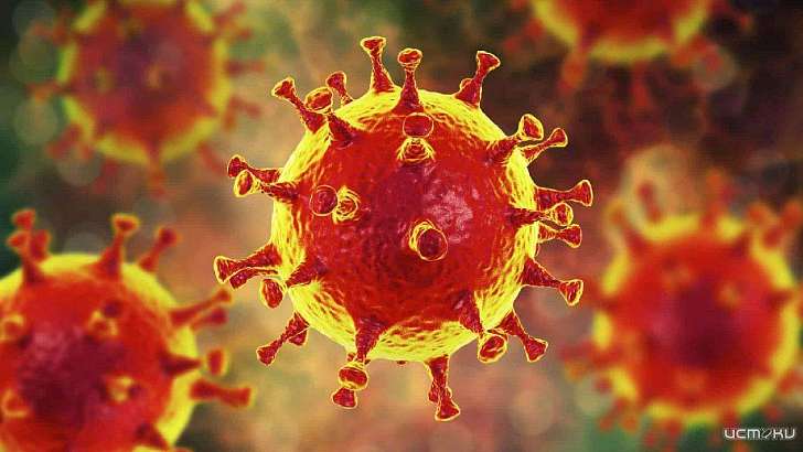 Почти в пять раз больше орловчан стали подхватывать COVID-19 на работе