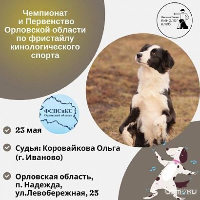 На собачий фристайл в Орле приглашают хозяев и их питомцев