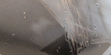 Почему важно проверять посадочный материал на сортовые и посевные качества