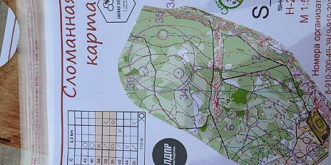 «Сломанная карта». Орловские ориентировщики оттачивают свои навыки на оригинальных дистанциях