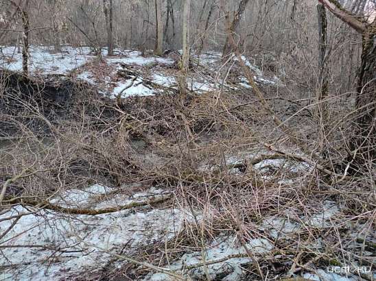 СК проводит проверку по факту гибели мужчины в ручье в Ливенском районе