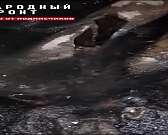 В Орле под домом №10 на Машкарина появилось настоящее озеро