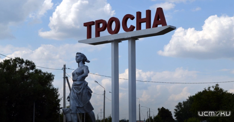 В Орловской области обнаружили бесхозный мост