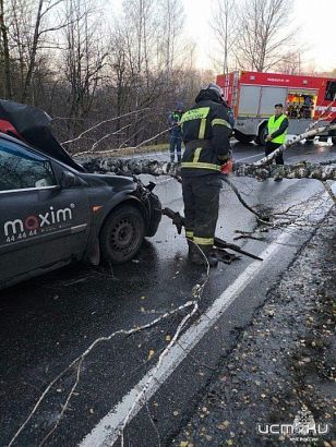 Шквалистый ветер в орловском регионе оставил после себя неприятности