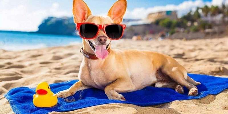 В Орел возвращаются солнце и тепло