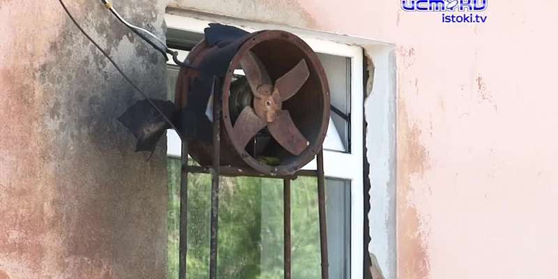 Сезон охоты на деревья: в центре Орла незаконно вырубили зеленые насаждения