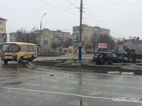 В Орле автомобиль чуть не врезался в топиарную фигуру — слона 