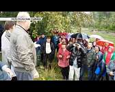 Зона отчуждения. Чем грозит эпидемия африканской чумы Колпнянскому району?