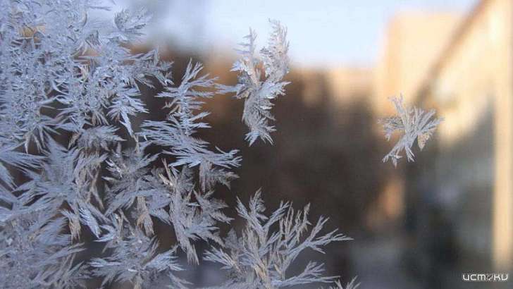 Солнечно днем и слегка морозно к ночи: погода в Орле на 6 декабря