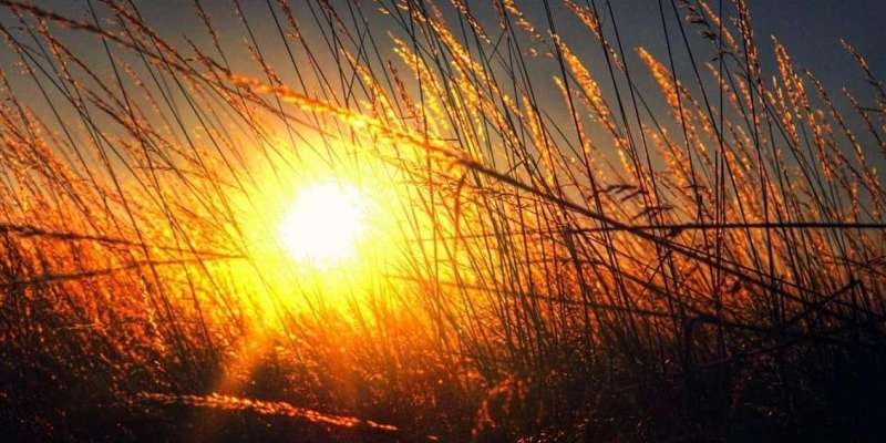 Воскресенье в Орле будет морозным и сухим 