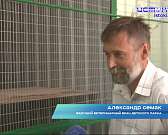 В детском парке поселился... Мартышка Абу желает познакомиться с юными орловчанами