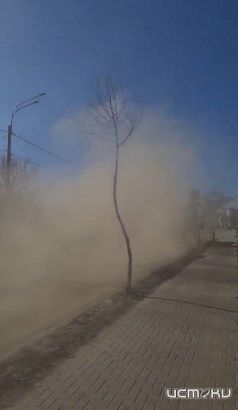  Во время уборки коммунальные машины устраивают песчаные бури в Орле
