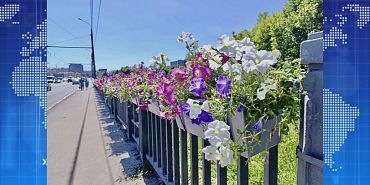 Впервые на Герценском мосту появились цветы. Экспресс - новости.