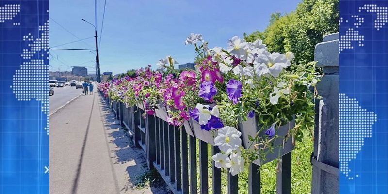 Впервые на Герценском мосту появились цветы. Экспресс - новости.