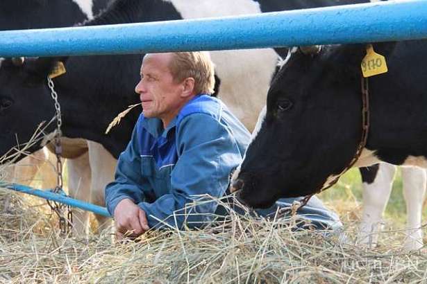 В этом году Орловщине будет предоставлено федеральное финансирование на грантовую поддержку сельскохозяйственных потребкооперативов