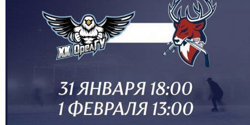 Все на хоккей!