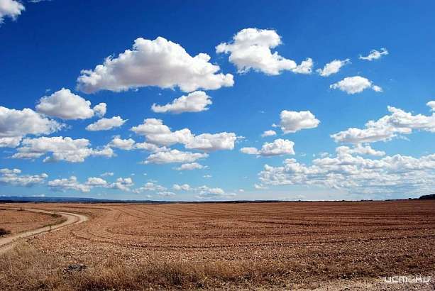 В Орловской области реализуется региональная «дорожная карта» по наполнению ЕГРН недостающими сведениями