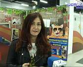 "Кошачий зоопарк" возмутил орловских зоозащитников