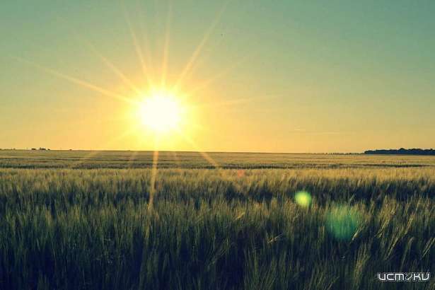 Последняя неделя лета порадует орловчан теплой погодой