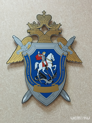 Незаконное получение социальных выплат привело к уголовному делу  Незаконное получение социальных выплат привело к уголовному делу