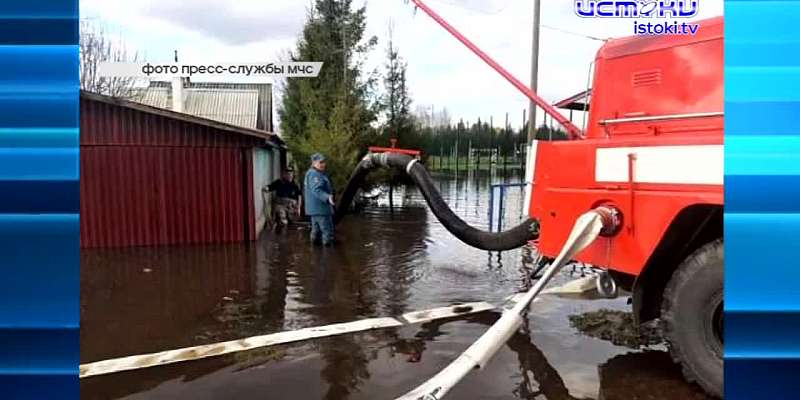 Бобры перепутали орловскую лужу с природным водоемом, мы ждем ваших фотографий и видео и за это вручим в подарок роллы, а в городе может появиться скв...