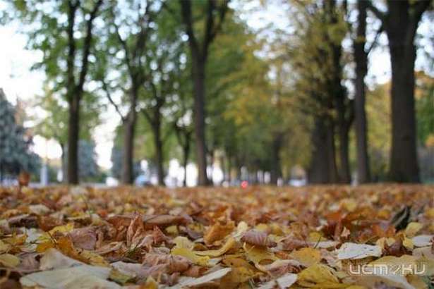 Погода в Орле на 25 сентября 