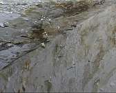 В нечеловеческих условиях: в общежитии на Наугорском шоссе в Орле живут по соседству с плесенью