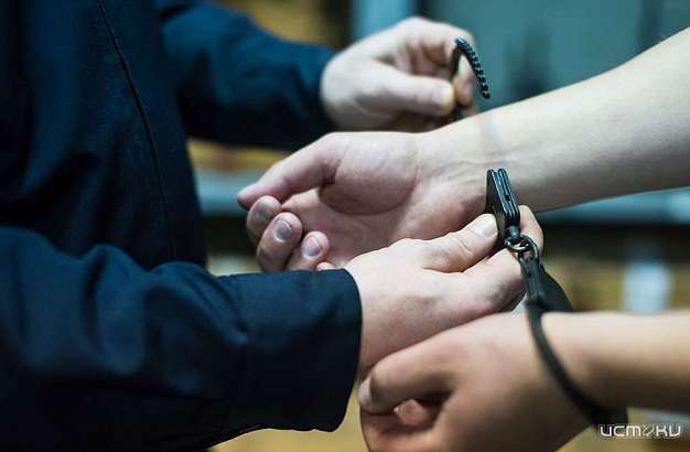 Суд заключил под стражу несовершеннолетних подозреваемых