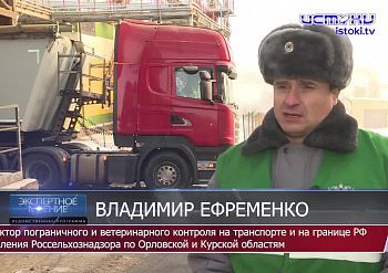 Экспертное мнение 21.01.2026