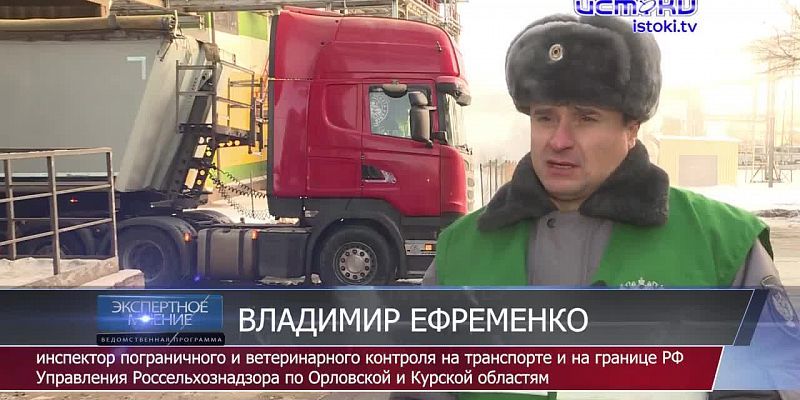 Экспертное мнение 21.01.2026