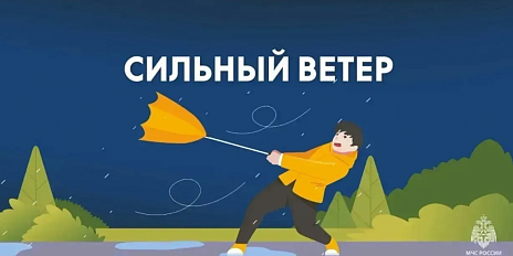 В Орловской области ожидаются порывы ветра местами до 24 м/с