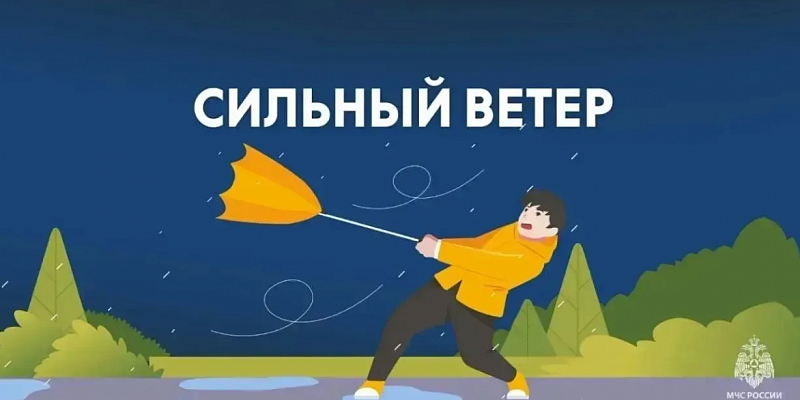 В Орловской области ожидаются порывы ветра местами до 24 м/с  