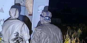 Под Орлом спасатели обезвредили гнездо шершней на электроподстанции — доступ к оборудованию восстановлен
