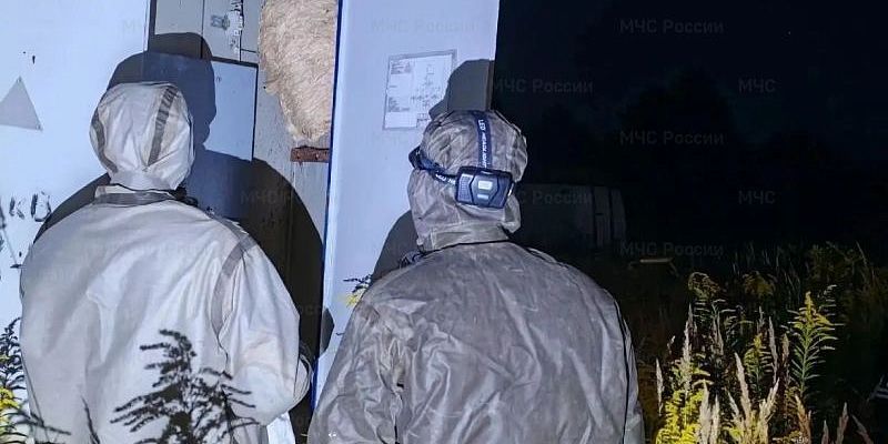 Под Орлом спасатели обезвредили гнездо шершней на электроподстанции — доступ к оборудованию восстановлен