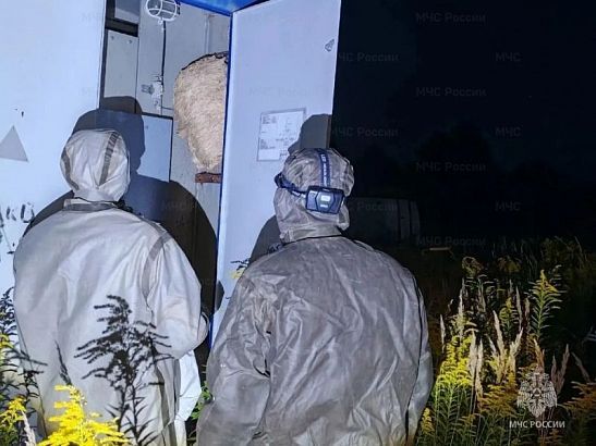 Под Орлом спасатели обезвредили гнездо шершней на электроподстанции — доступ к оборудованию восстановлен